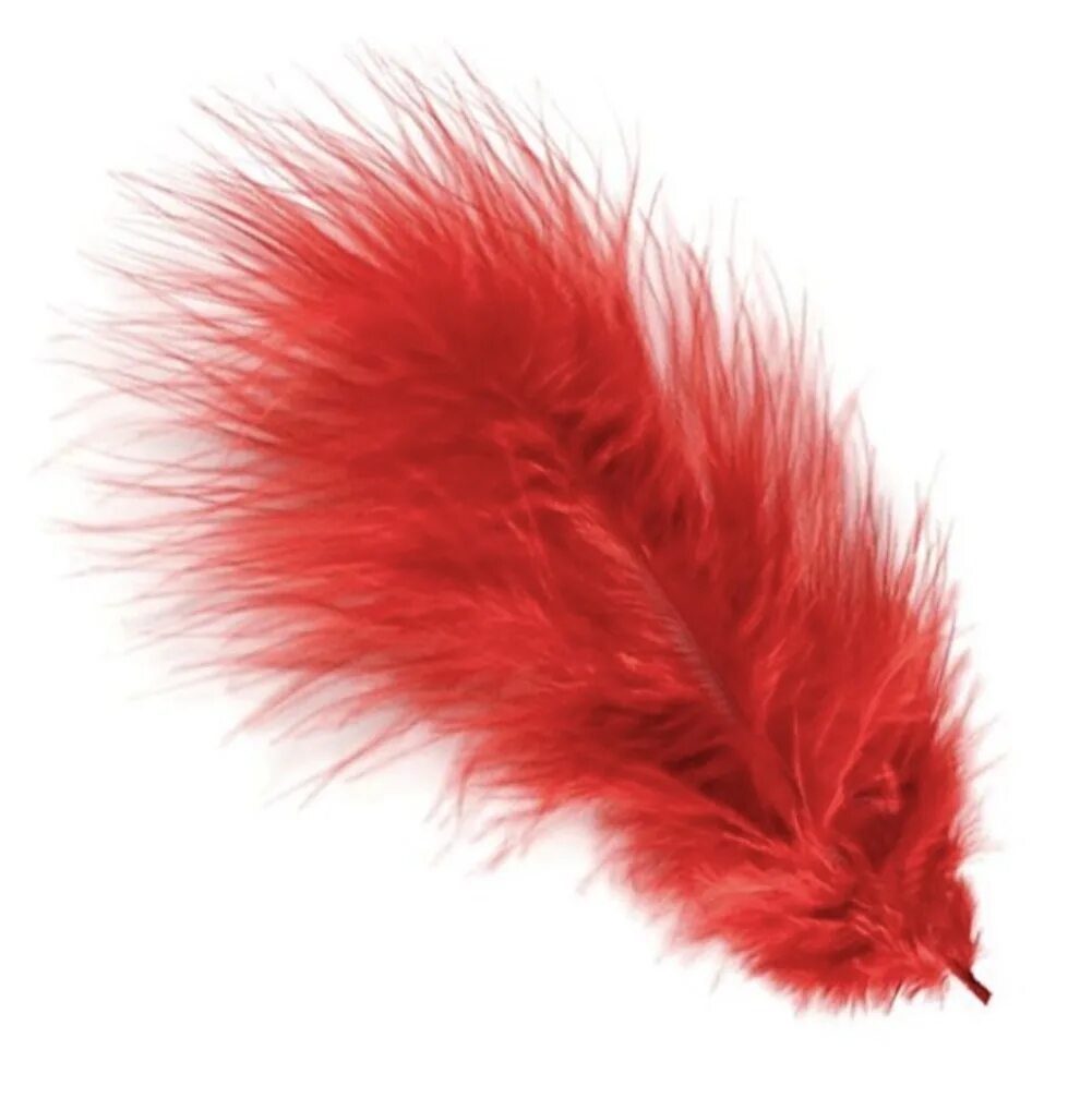 Красное перо
