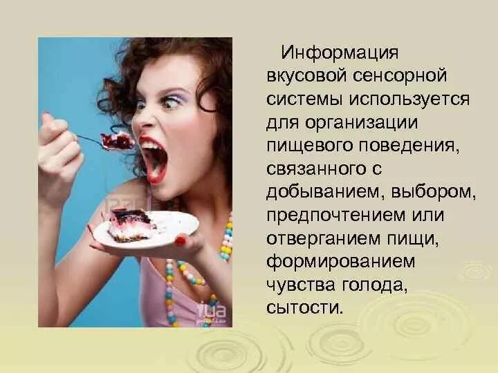 Вкусовая информация. Вкусовой вид информации. Информация о вкусе пищи. Вкусовое восприятие информации.