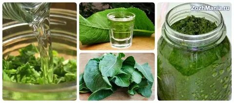 Лист лопуха для лечения сустава