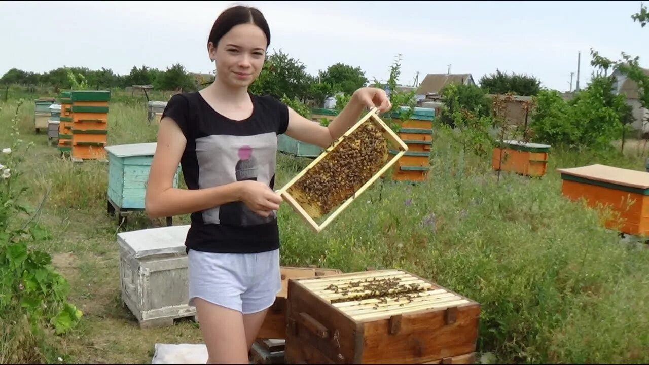 Видео пчеловодство новинки. Улей на пасеке. Девушка пчеловод. Пасечник пчеловод. Женщина на пасеке.