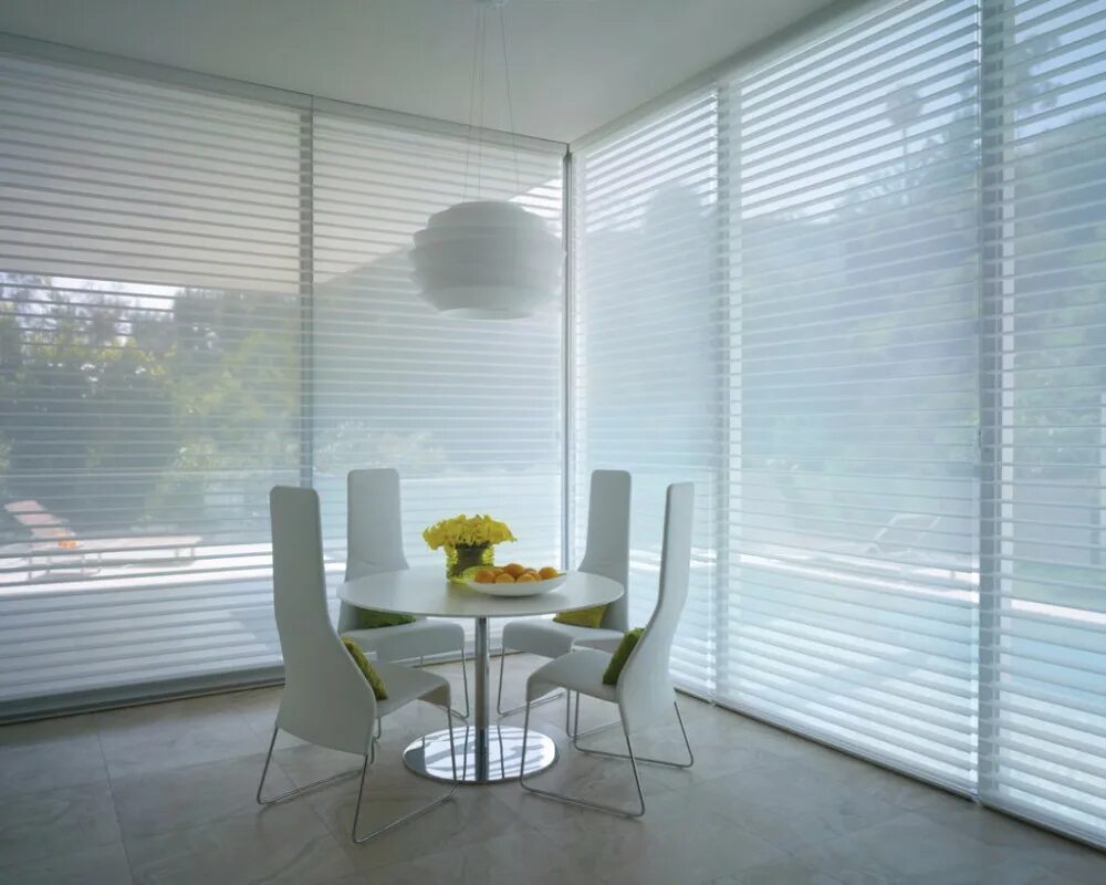 Шторки жалюзи на стекла. Hunter Douglas жалюзи. Hunter Douglas жалюзи с пультом. Жалюзи на панорамные окна в офис. Прозрачные жалюзи.