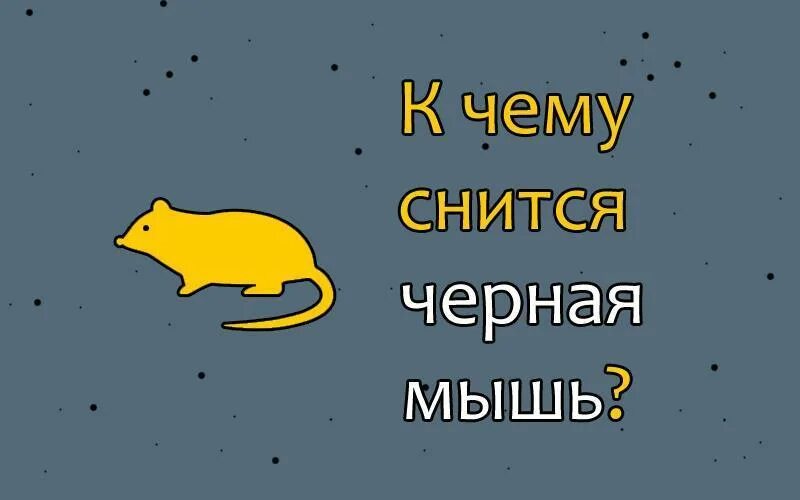 Снится много мышей к чему женщине