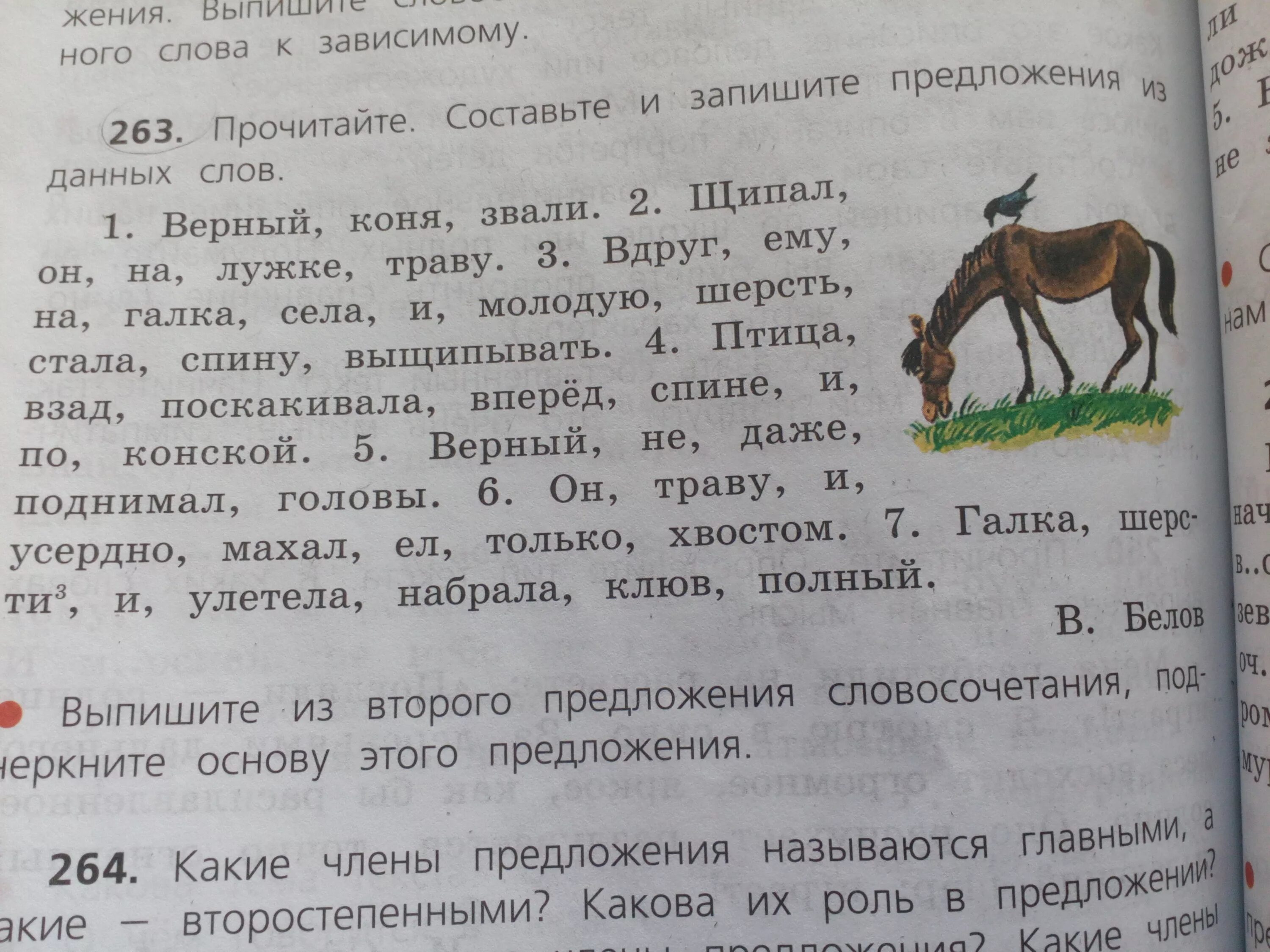 Верный разбор. Коня звали верный на лужке он щипал траву. Предложение со словом конь. Предложение со словом лошадь. Придумать предложение со словом конь.