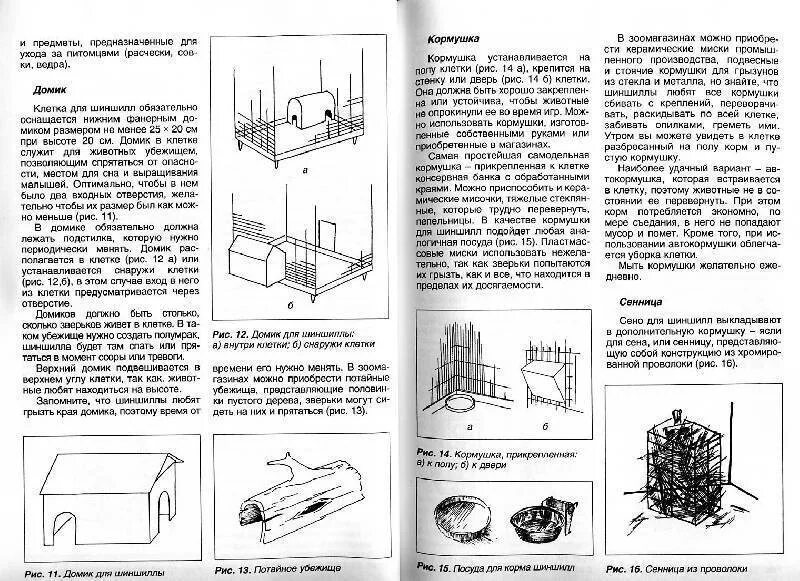 Шиншилла уход и содержание в домашних условиях. Содержание шиншиллы в домашних. Рекомендации по уходу за шиншиллой. Особенности ухода за шиншиллой. Шиншилла уход и содержание в домашних