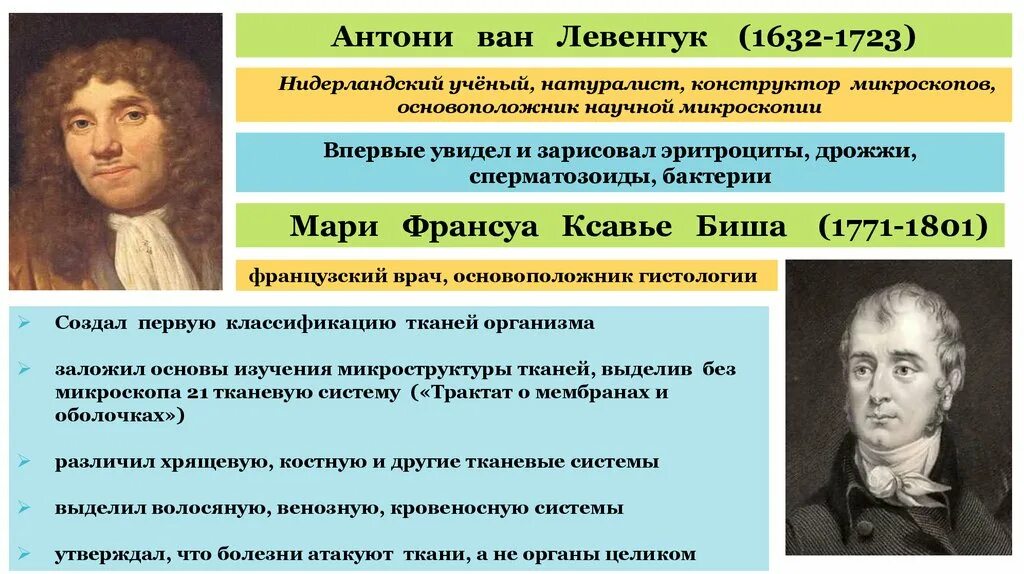 Создал первую классификацию