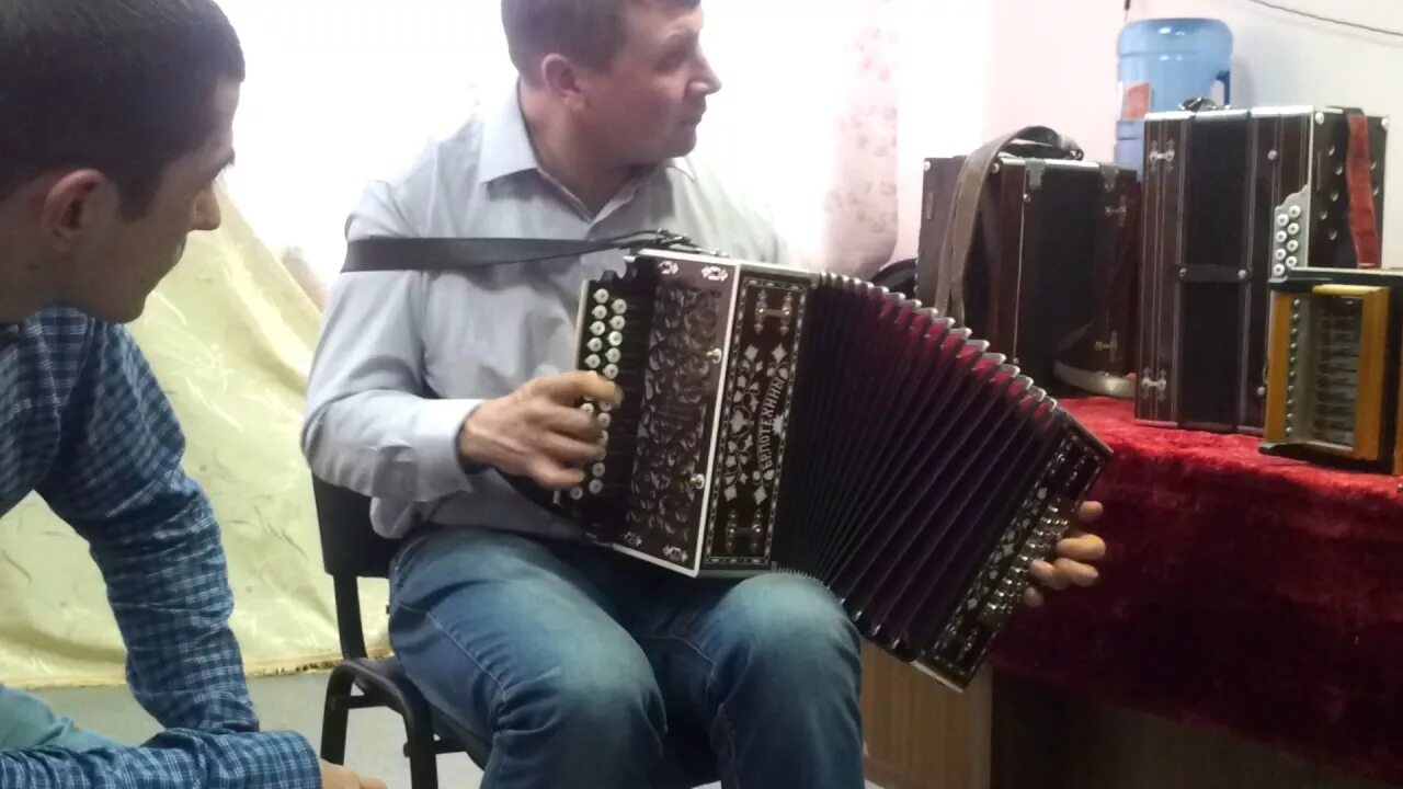 Гармонист ланин. Гармонист ланин