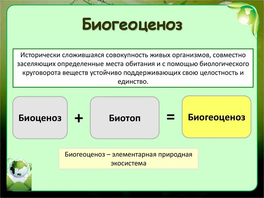 Окружающая среда в которой существуют живые огэ. Биогеоценоз. Биогеоценоз это в экологии. Экосистема и биогеоценоз. Биогеоценоз определение структура.