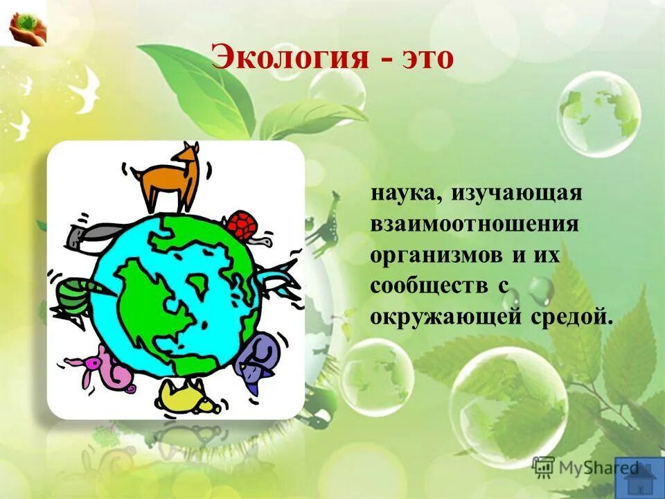 День экологических знаний. 15 Апреля день экологических знаний. День экологичнскихнаний. Всемирный день экологических знаний. Группы экологических знаний