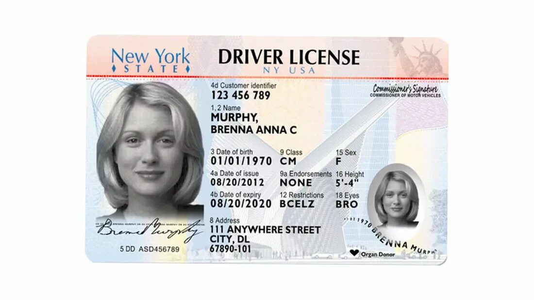 Licensing new. New York Driver License. New York ID Card. New York Driver License New. Driver License USA New York.