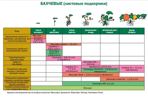 Внекорневая подкормка