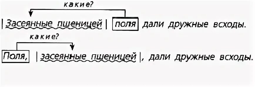 Поля разбор 3