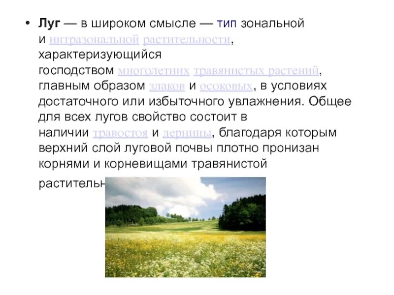 Характеристика лугу. Характеристика лугу