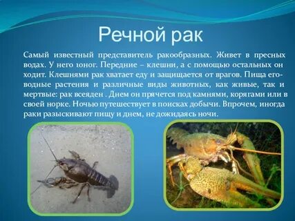 Рак их жизнь
