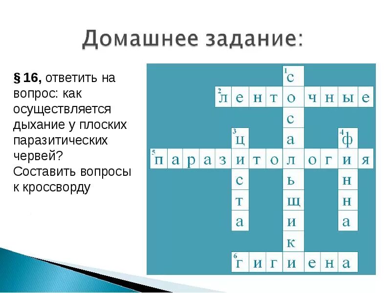 Червь сканворд. Кроссворд по биологии 7 класс плоские черви круглые черви с ответами. Кроссворд на тему плоские черви. Кроссворд на тему глистов. Кроссворд плоские черви 7 класс с ответами.