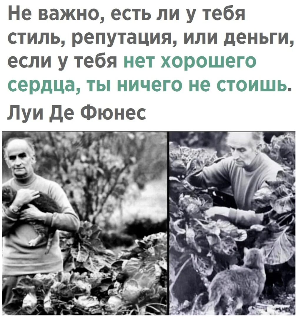 Быть добрым человеком ничего не стоит