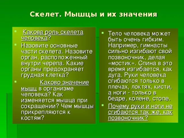 Каково значение мышечного чувства людей разных профессий. Какова роль скелета. Какова роль скелета в организме человека. Значение мышц. Каково значение скелета для человека.