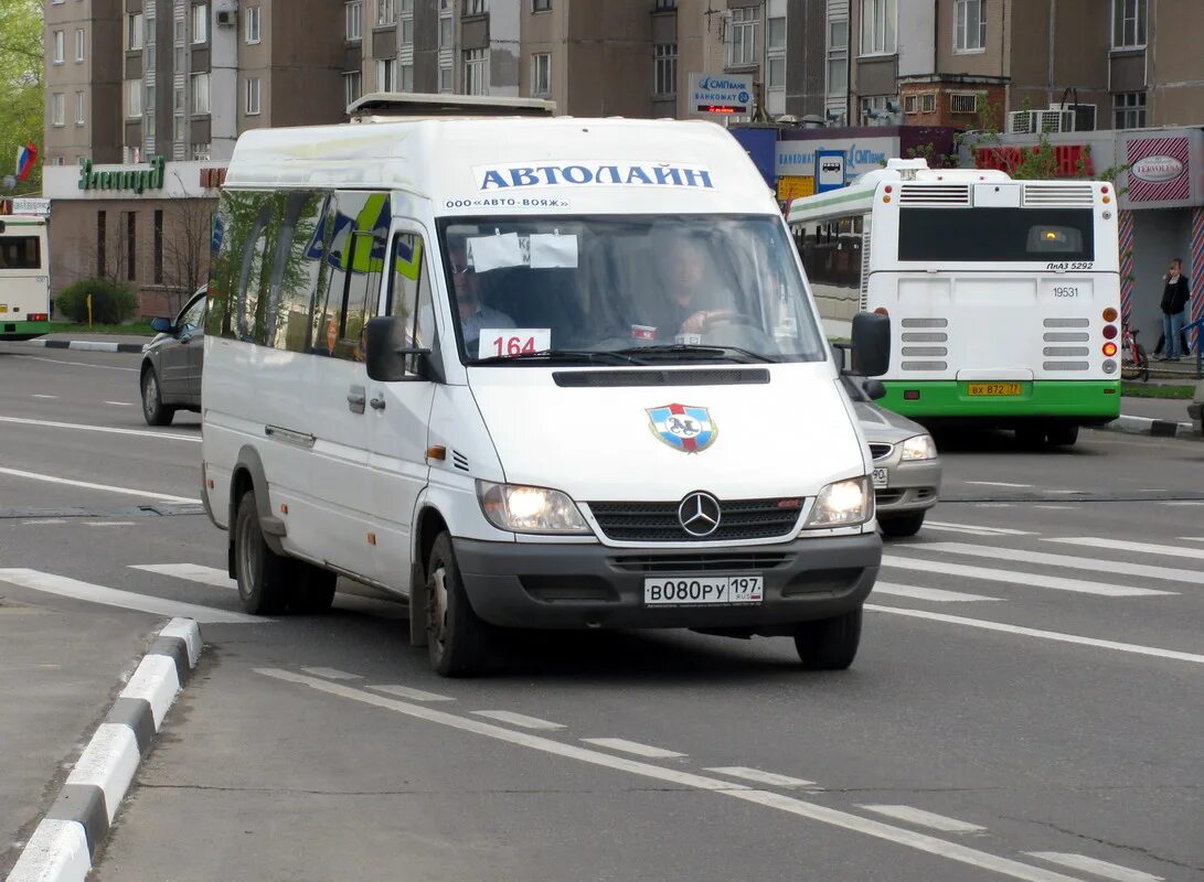 Маршрутные истории. Mercedes-Benz Sprinter 411cdi. Маршрутка 164к Зеленоград. В197во 164. 164 Автобус.