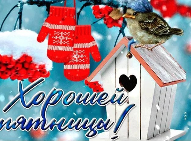 С добрым воскресным февральским утром картинки красивые