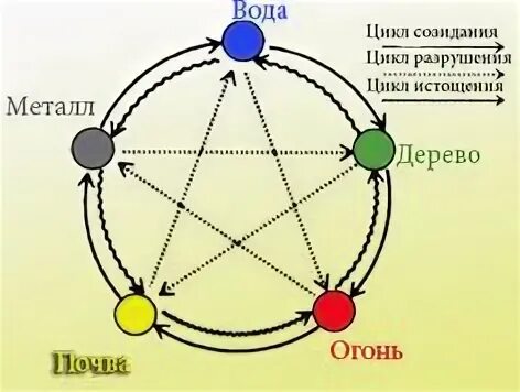 5 цикл