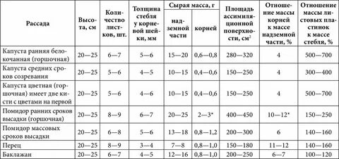 Какая температура почвы в теплице