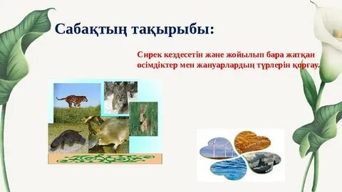 Жетілген орыс аққұбалар порно онлайн көру