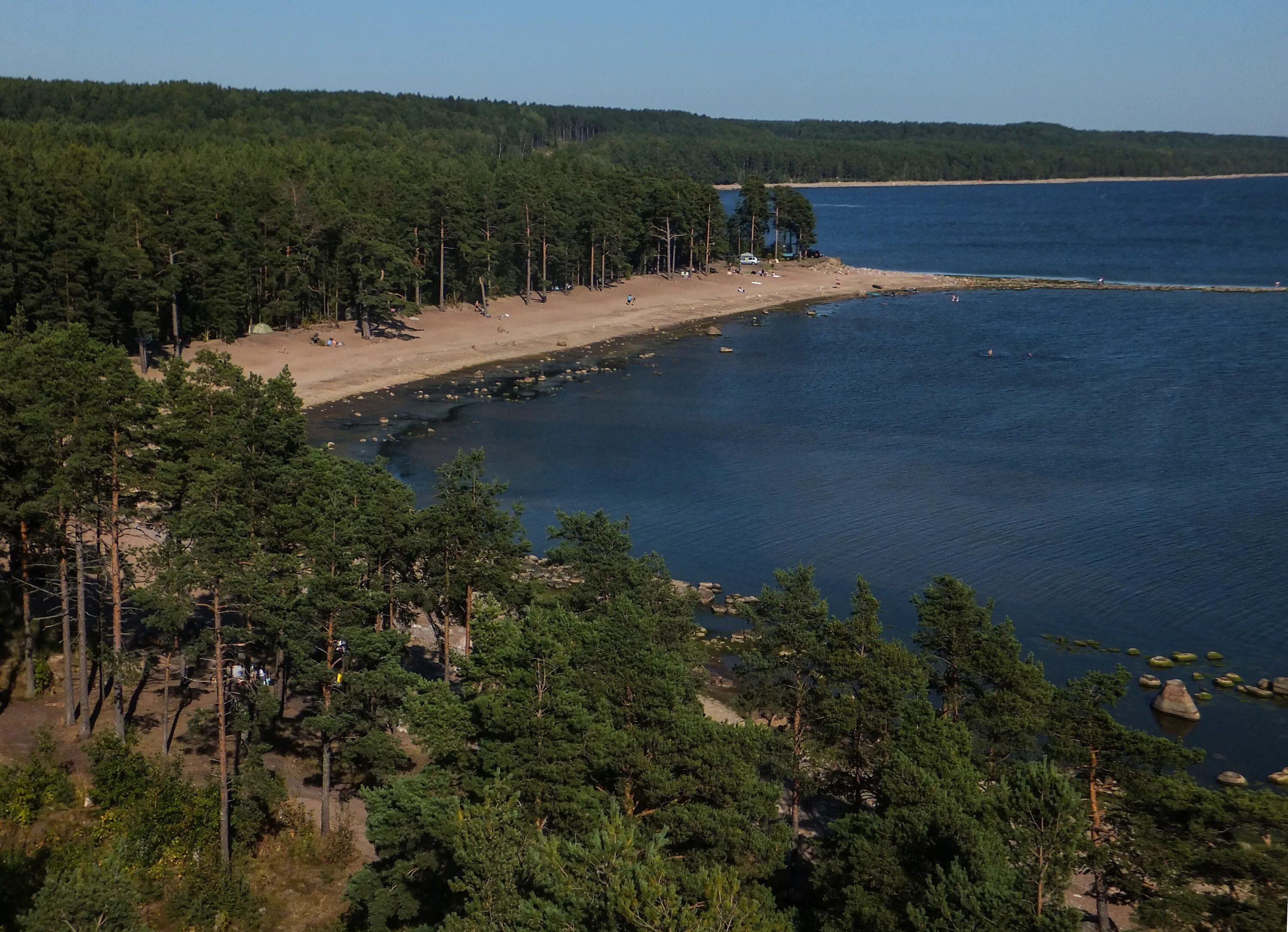 Зеленая роща пляж Ленинградская. Приморский берег. Приморск берег. Береговая зона.