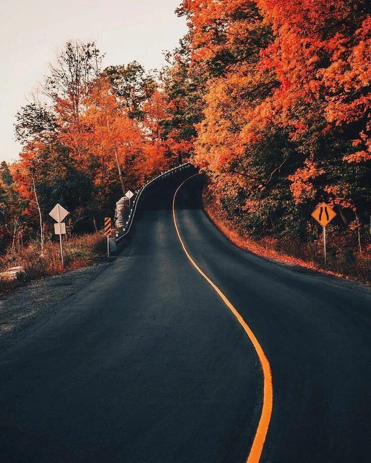 Fall around. Красивые дороги. Осенняя дорога. Дорога в осень. Осень Эстетика.