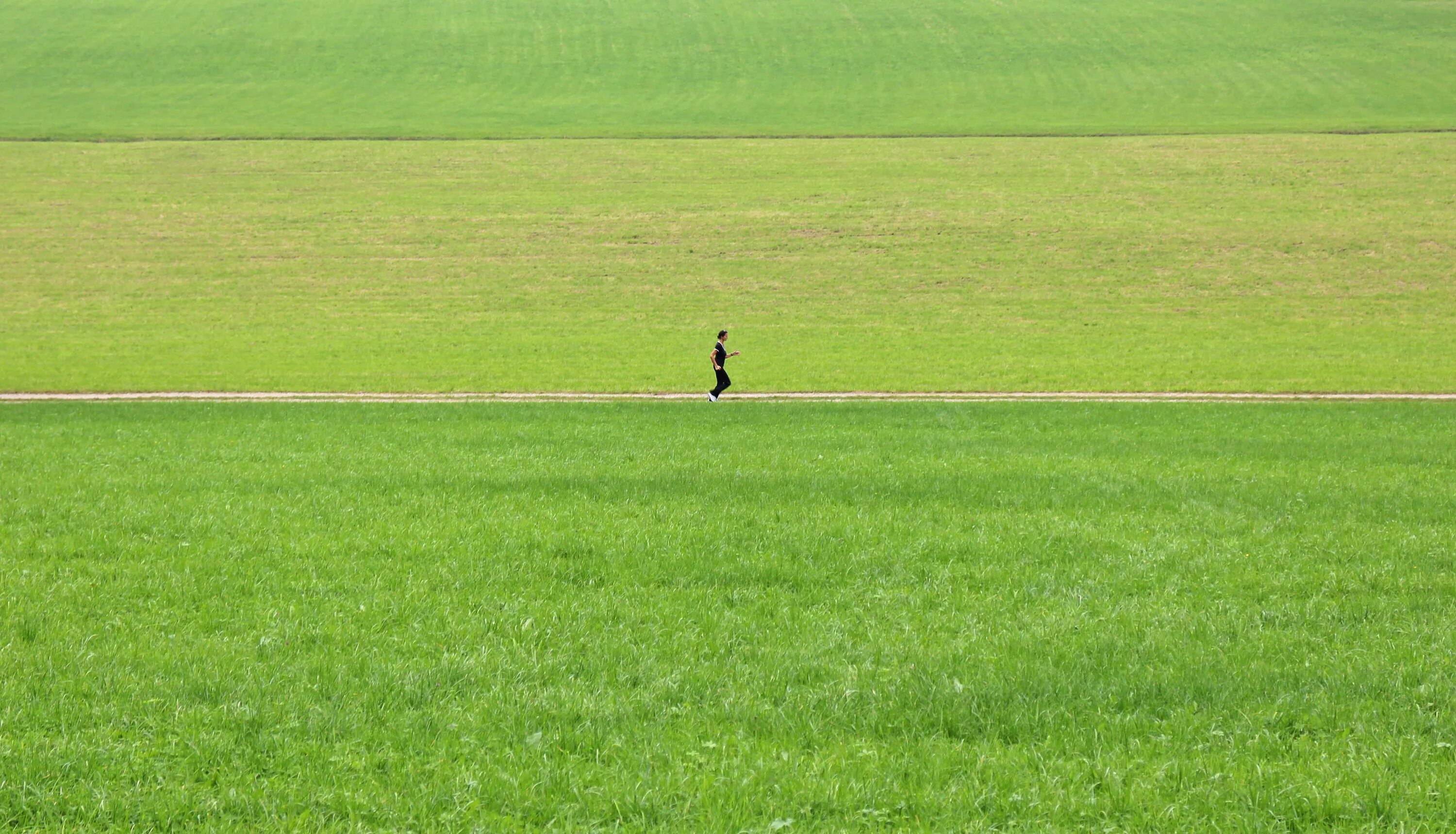 Own the field