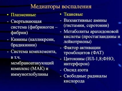 Брадикинин простагландины