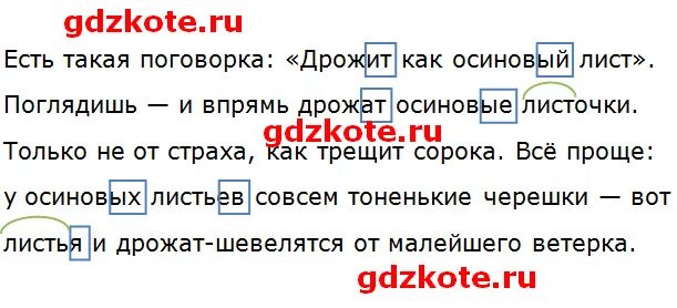 Как появилась поговорка дрожит как осиновый лист. Есть такая поговорка дрожит как осиновый лист. Затряслась как листочек осиновый это пример. Дрожит как осиновый лист. Дрожит как осиновый лист значение.