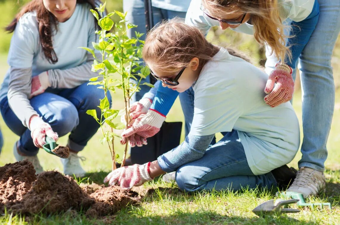 Ecology and people. Детям об экологии. Посадка деревьев. Дети и природа. Помощь природе.