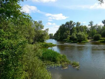 Река сок самарская