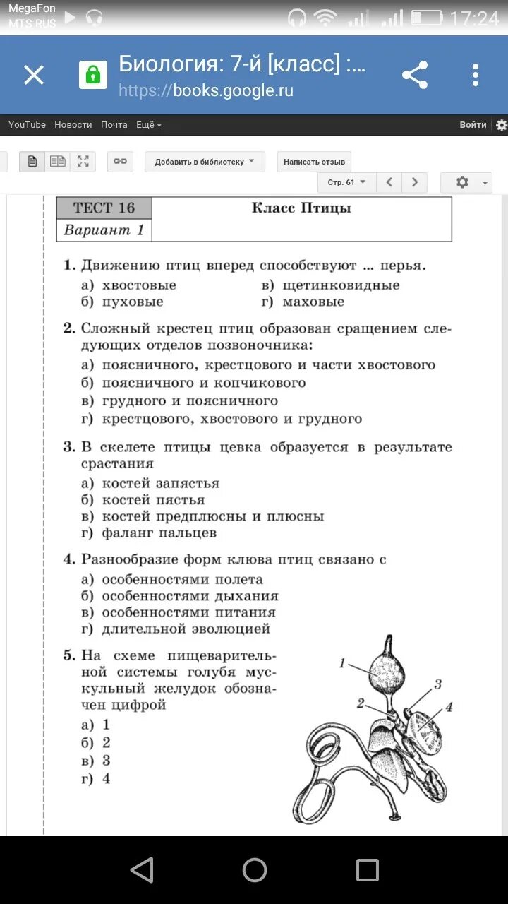Тест по теме класс птицы ответы. Тест по биологии птицы. тест по биологии по птицам. тест классы птиц. биология тесты гекалюк ответы.