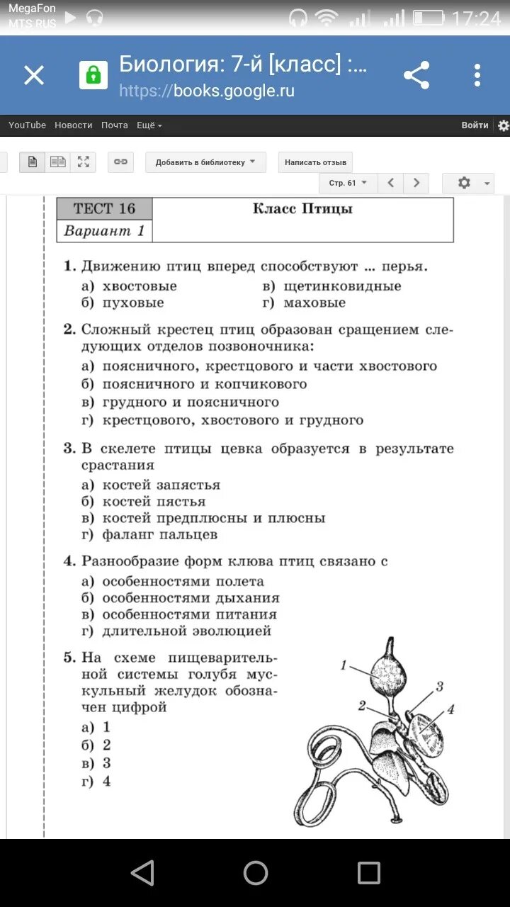 Тест по биологии птицы. Тест по биологии по птицам. Тест классы птиц. Биология тесты гекалюк ответы.