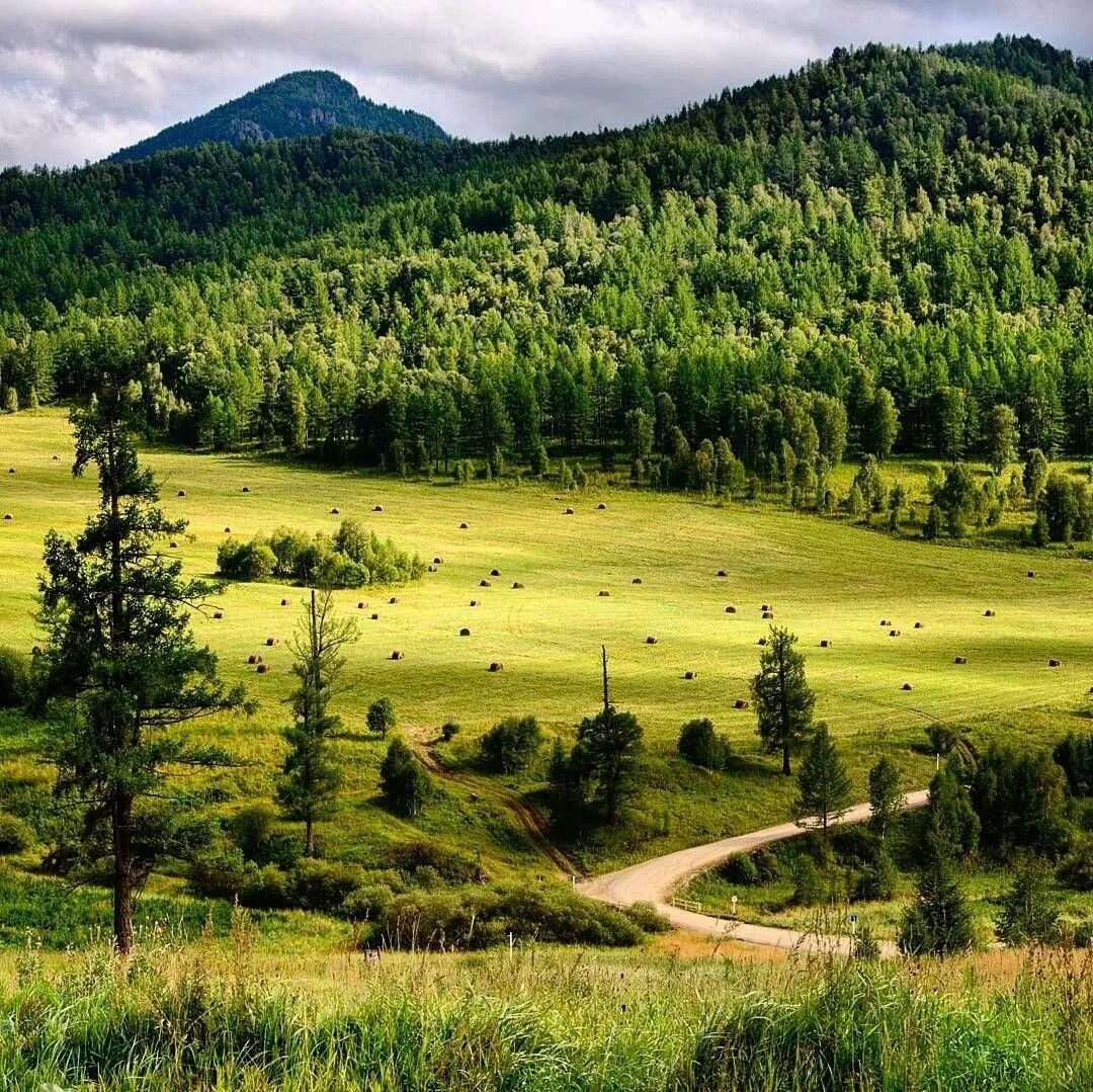 Алтайский край какая сибирь. Республика Алтай. Горный Алтай Россия. Алтай и Алтайский край. Алтайский край Троицкий природа.