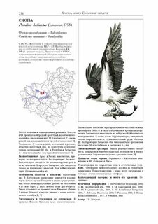 Самарская область книга