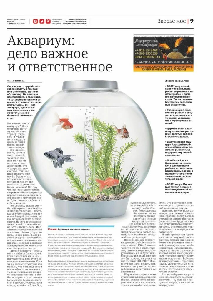 Состав аквариума. Выбор месторасположения аквариума. Составляющие аквариума. Акваскейп 500л. Рыбы в аквариуме.