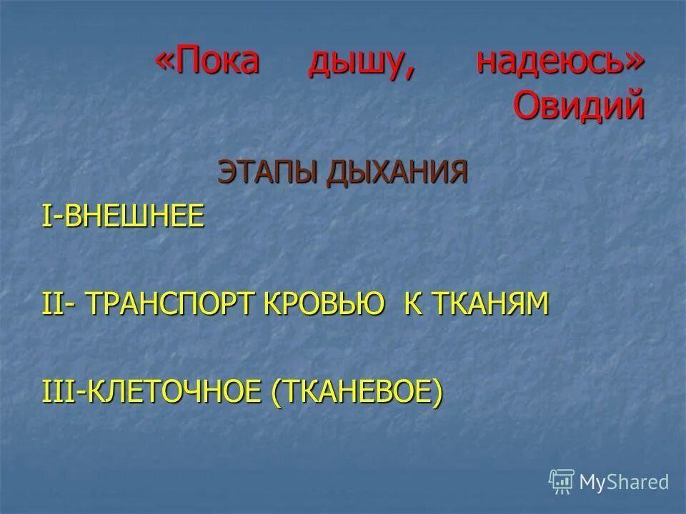 Пока дышу надеюсь фф. Пока дышу надеюсь фф