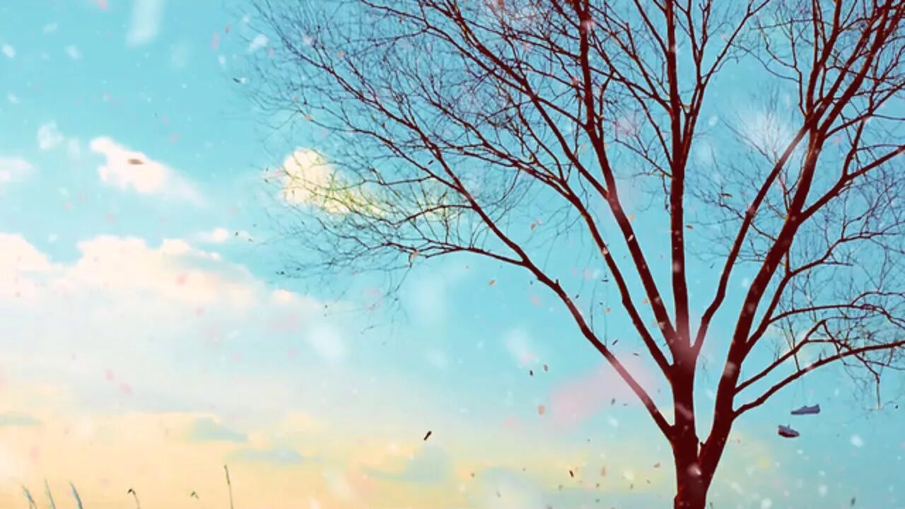 Чимин spring day. Spring days are. Bts go go обложка. Spring days are. Фон bts spring day.