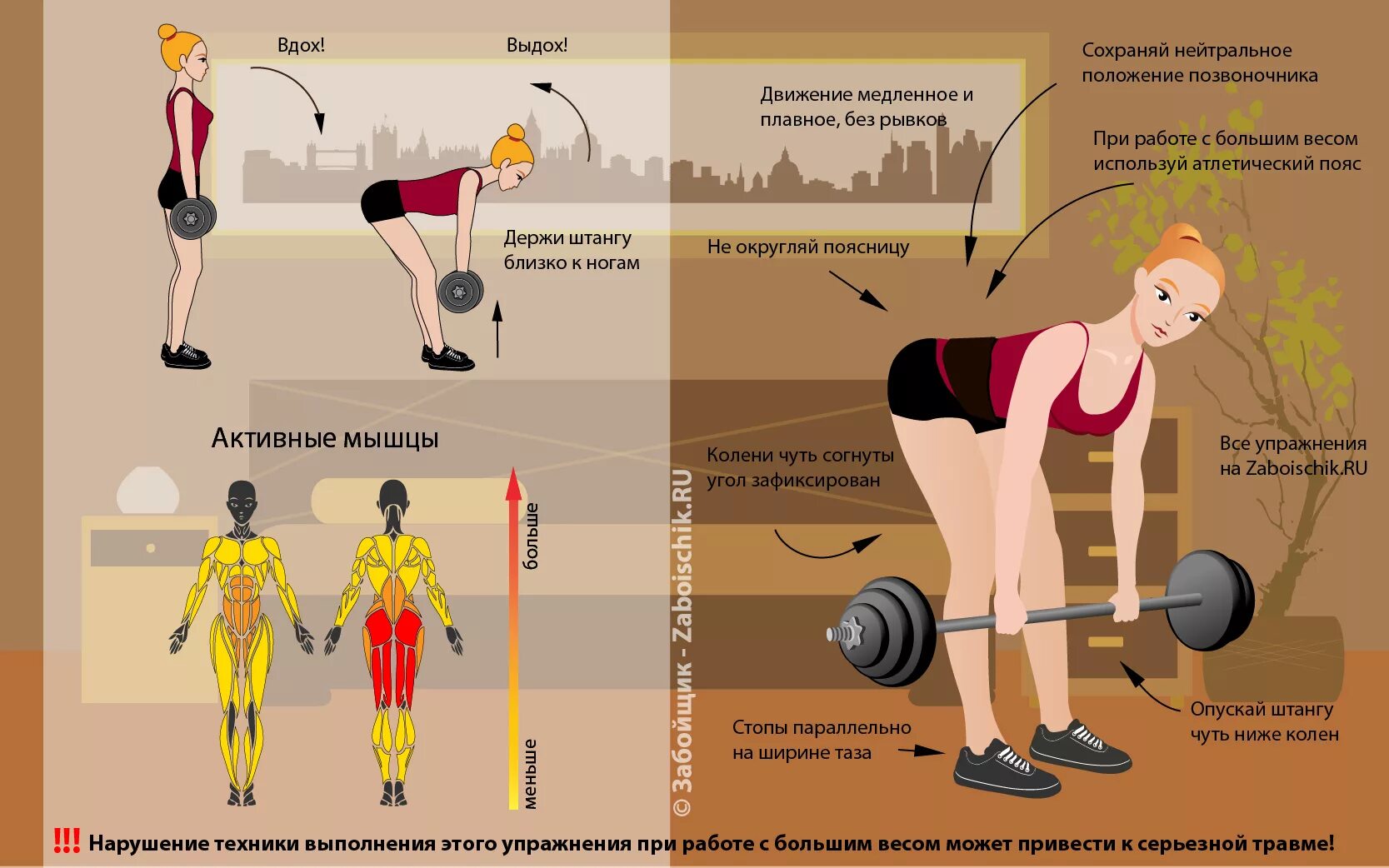 Программа тренировок для мужчин. Система упражнений для мышц. Система упражнений для мышц. Базовая программа тренировок в тренажерном зале для мужчин. Система упражнений для мышц.
