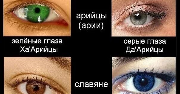 Глаза ариев. Святорусы Расены. Арии и арийцы. Арийцы Дарийцы Рассены. Цвет глаз у славян.