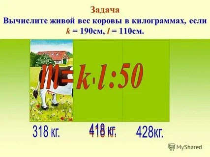 Собака 2 петух 8 ослик