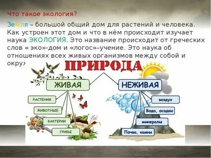 Экологические уроки пример