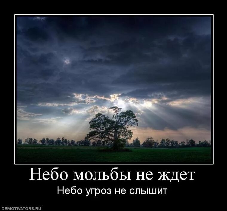 Небо ждет тебя. Под небесами. Небо нас ждет. Touching clouds. Книга и все небо для нас.