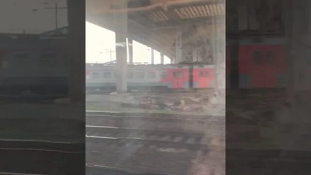 Москвича увидевшего липецк из окна поезда доставили. Ржд окно подсолнух из окна поезд. видео из окна проезжающего поезда. хасбик смотрит из окна.