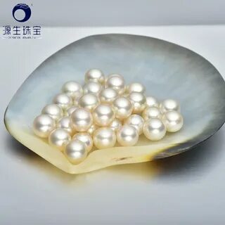 Sea pearl 4