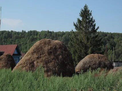 Сколько село