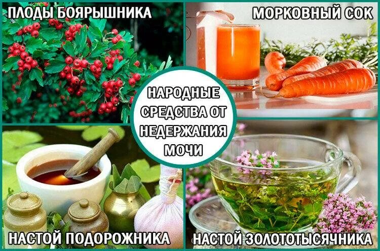 Препараты при стрессовом недержании мочи. Народные средства при недержании мочи. Недержание мочи народные. Народные ср-ва от недержания мочи. Народное средство от частого мочеиспускания.