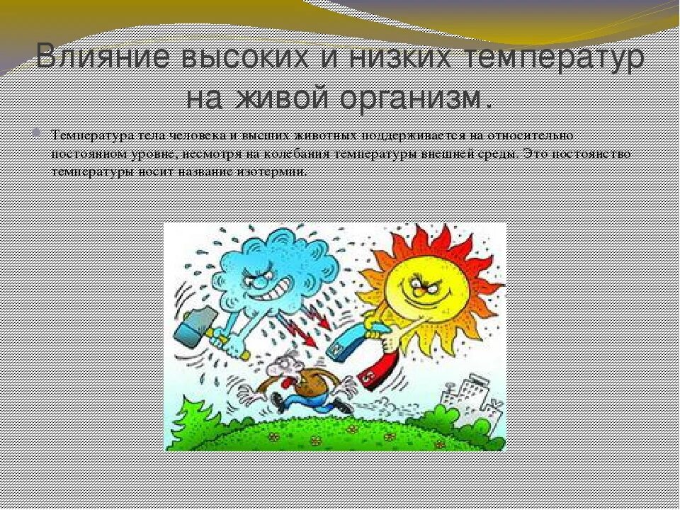 Влияние рисунка. Влияние температуры на человека. Влияние температуры воздуха на организм человека. Влияние температуры на живые организмы. Воздействие человека на погоду.