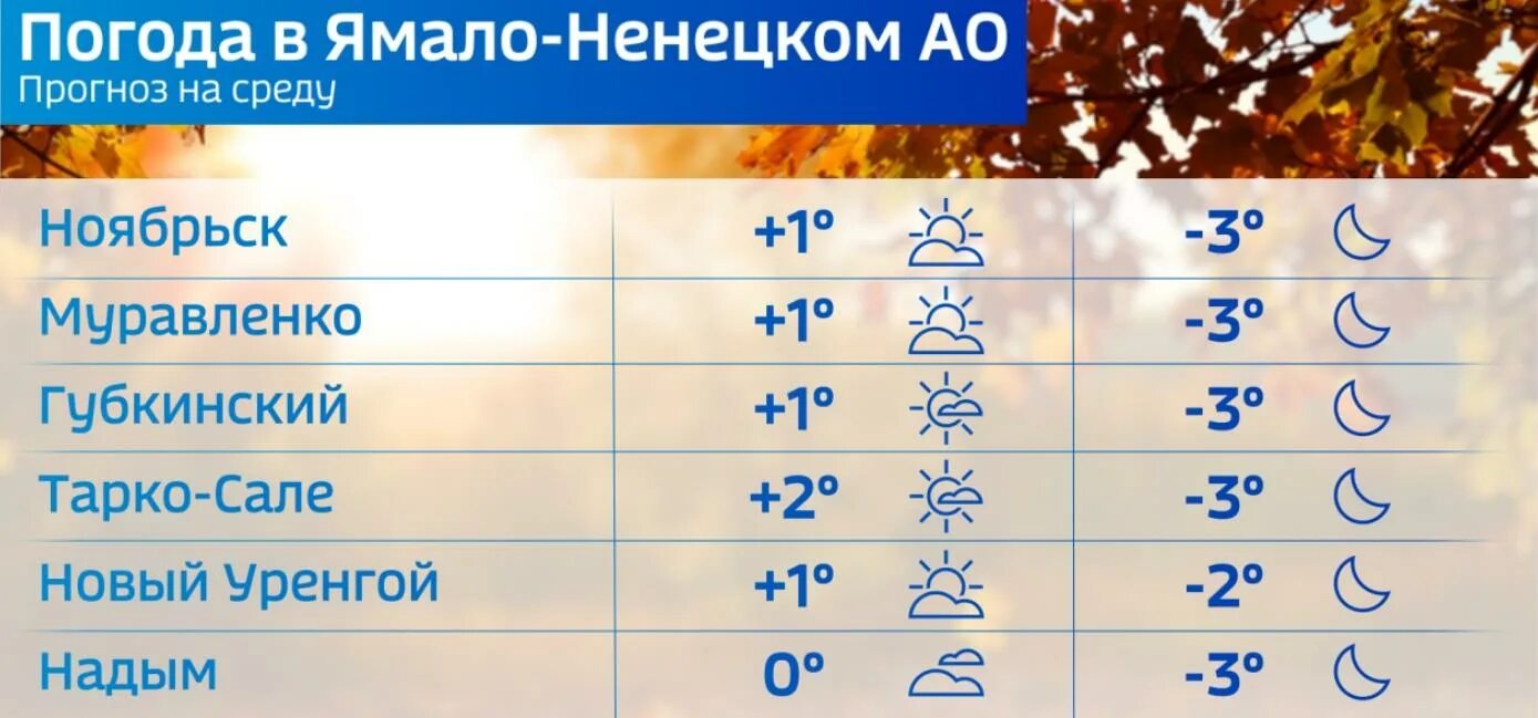 Салехард климат. Зима какая. Незначительная облачность. Какая погода будет зимой